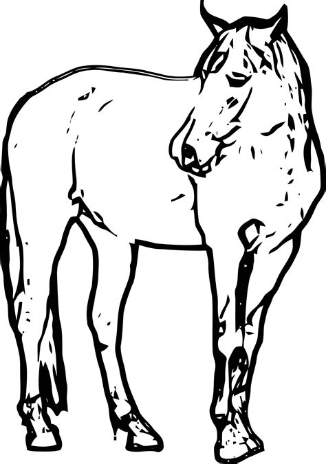 horse coloring page wecoloringpage  wecoloringpagecom