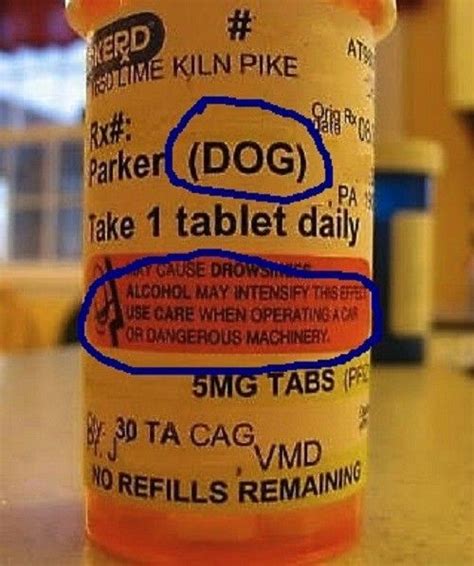 dog medicine warning label funny warning signs funny signs funny dog fails funny memes dog
