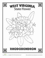 Mountaineer Symbols Rhododendron sketch template