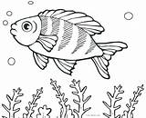 Fish Coloring Pages Cartoon Fishing Saltwater Puffer Real Boy Color Small School Printable Getcolorings Lure Template Shape Colorin Print Ray sketch template