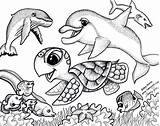 Coloring Sea Pages Animals Baby Print Kids Propose Today sketch template