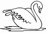 Cigno Schwan Colorear Disegno Cigni Ausmalbild Cisne Vogel Stampare Bestcoloringpagesforkids Swans Wasservogel Tender Sta Brutto Anatroccolo Kategorien sketch template