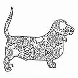 Basset Coloring Pages Animal Geometric Printable Dog Animals Hound Drawing Easy Book Adults Color Greyhound Books Bloodhound Labradoodle Dane Great sketch template
