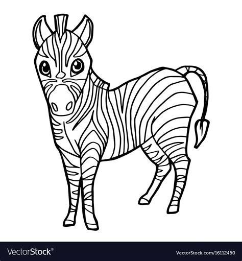 cartoon cute zebra coloring page royalty  vector image