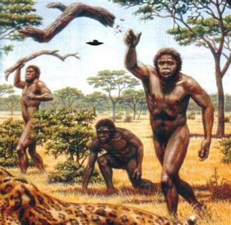 es una foto de hominidos evolucion humana escritura antigua imagenes de humor