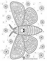 Moth Coloring Pages Adults Dead Adult Woojr Coloringbay Activities Intricate Sugar sketch template
