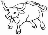 Coloring Pages Syrup Maple Getcolorings Bull sketch template