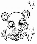 Coloring Pages Cute Cartoon Animals Printable Getcolorings Color sketch template