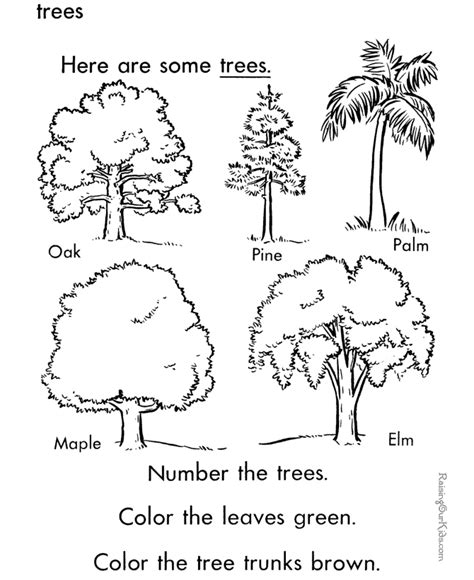 trees coloring sheet  print  color