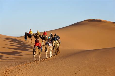 imagene experience viaje en camellos por el desierto del sahara