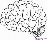 Brain Coloring Human Cartoon Colouring Pages Draw Drawing Outline Library Clipart Comments Getdrawings Clip sketch template