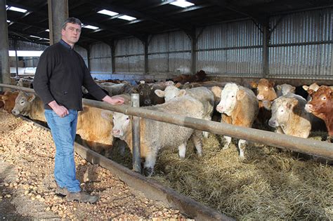 farm feature alan meston chapelton  british charolais cattle society
