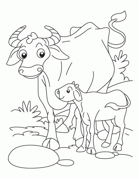 coloring pages  animals   babies coloring home