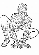 Spiderman Coloring Pages Man Spider Ready Color Pose Famous Choose Board Drawing sketch template