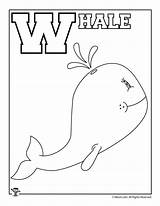 Whale Woojr sketch template