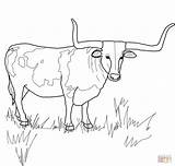 Longhorn Coloring Texas Pages Steer Bull Printable Ferdinand Cow Cattle Supercoloring Color Longhorns Horn Animal Drawing Popular Sheets Choose Board sketch template