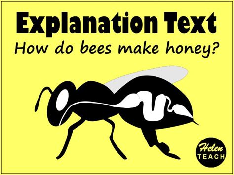 Explanation Text Example How Do Bees Make Honey With Feature Sheet