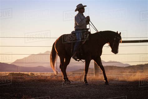 man horseback riding  sunset stock photo dissolve