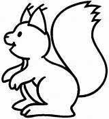 Squirrel Coloring Cute Pages Baby Popular sketch template