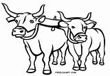 Coloring Ox Oxen Yoke Printable Pages Getdrawings Getcolorings Color sketch template