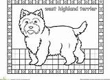 Terrier Highland West Coloring Color Choose Board Pages sketch template
