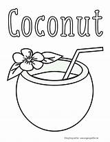 Coloring Drinks Drink Coconuts Rylee Hillary Coloringhome sketch template