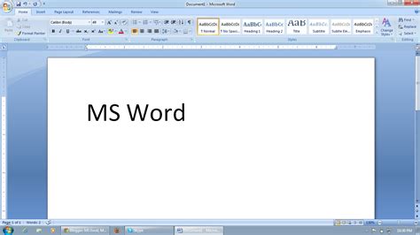 ms excel ms word ms power point ms access ms office