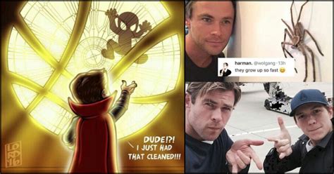 48 Incredibly Funny Spider Man And Avengers Memes That