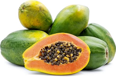 red hawaiian papaya information  facts