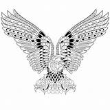 Stylized Zentangle Eagle sketch template