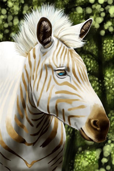 golden zebra  beccaboo  deviantart
