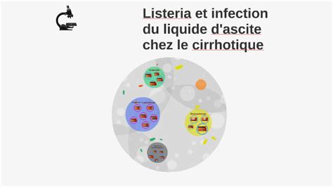 Listéria Et Infection Du Liquide Dascite Chez Le Cirrhotiq By Iheb Becha