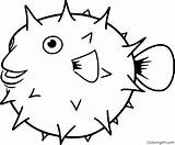 Coloring Pufferfish sketch template