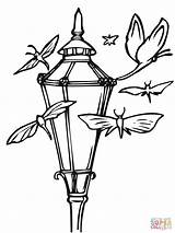 Lantern Lanterna Farola Lanterne Laterne Ausmalen Ausmalbild Straßenlaterne Motten Supercoloring Tangled Malvorlage Moths Vectorielle Getdrawings sketch template