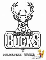 Coloring Pages Lakers Nba Milwaukee Bucks Logo Basketball Celtics Comments Color Getcolorings Coloringhome Google sketch template