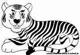 Tiger Coloring Printable Asian Drawing National Animal India Treehut Getdrawings sketch template