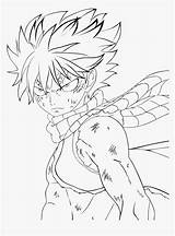 Fairy Tail Coloring Natsu Anime Pages Frieze Famous Dragneel Kindpng Clipartkey sketch template