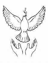 Coloring Peace Dove Printable Pages Popular sketch template