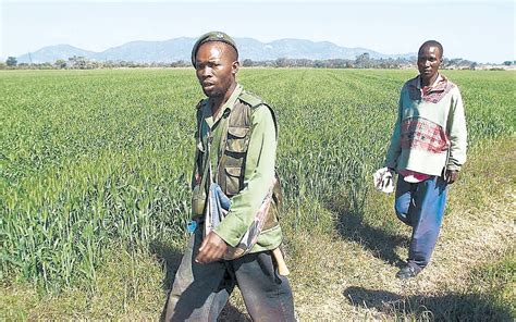 a warning to sa from zimbabwe s white farmers avoid our land reform