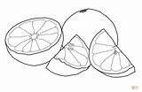 Grapefruit Drawing Coloring Pages Printable Colouring للتلوين Drawings Color Citrus Fruits Frutas Kids Riscos sketch template
