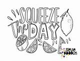 Squeeze sketch template
