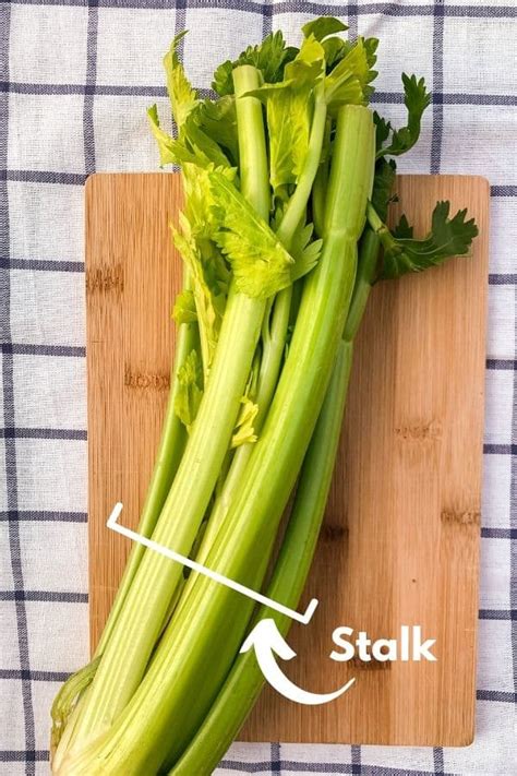 celery stalk  kitchen solution