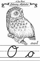 Coloring Alphabet Owl Traditional Pages Janbrett Cursive Modern Printable Click Jan Subscription Downloads Students Come Resources First sketch template