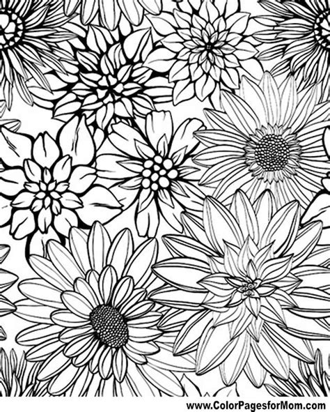 flower coloring page  flower coloring pages adult coloring pages