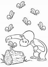 Curioso Kolorowanki Ciekawski Affe Monkey Bestcoloringpagesforkids Stimulate Book Pobrania Druku Neugierige Coco Coloringfolder Popular Newer Gackt sketch template