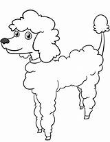 Coloring Poodle Cartoon Pages Printable Dogs Drawing Sketch Categories Template Supercoloring Public sketch template