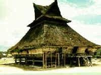 rumah adat culture  indonesia