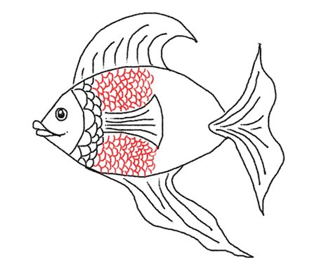 artz justinn kurtz   draw  fish