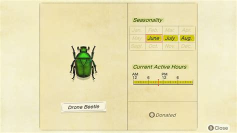 animal crossing  horizons   catch  drone beetle superparent  video game guide