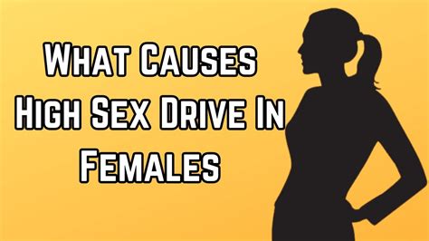 What Causes High Sex Drive In Females Managing High Sex Drive In Women